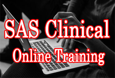 SAS Clinical Online Training in Hyderabad India