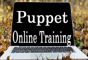 Puppet Online Training in Hyderabad India