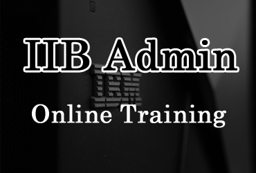 IIB Admin online training in Hyderabad India